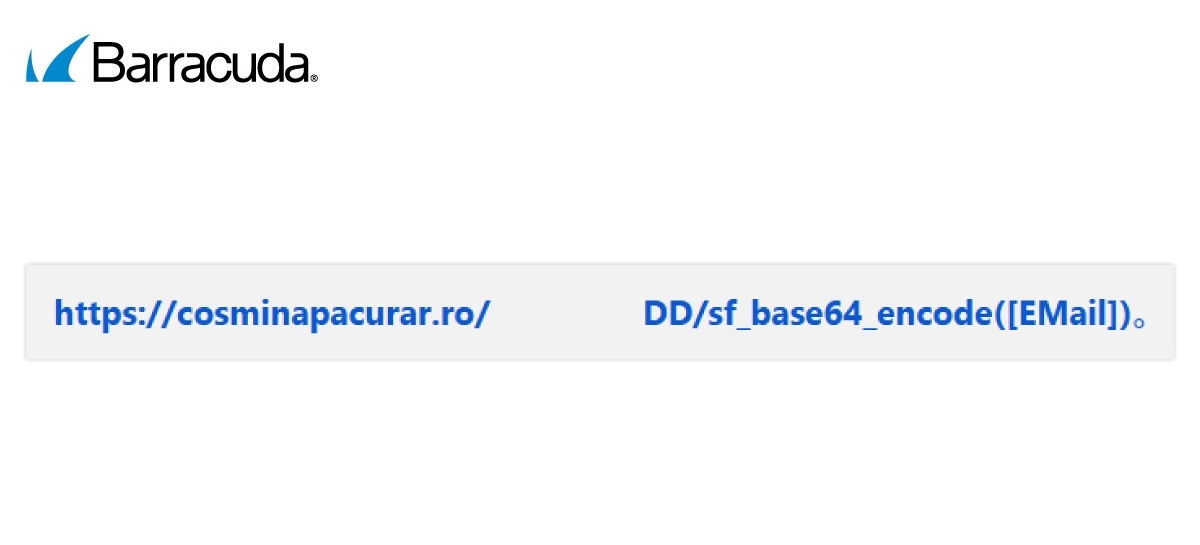 Ejemplo de cómo se ve una URL con espacios ocultos